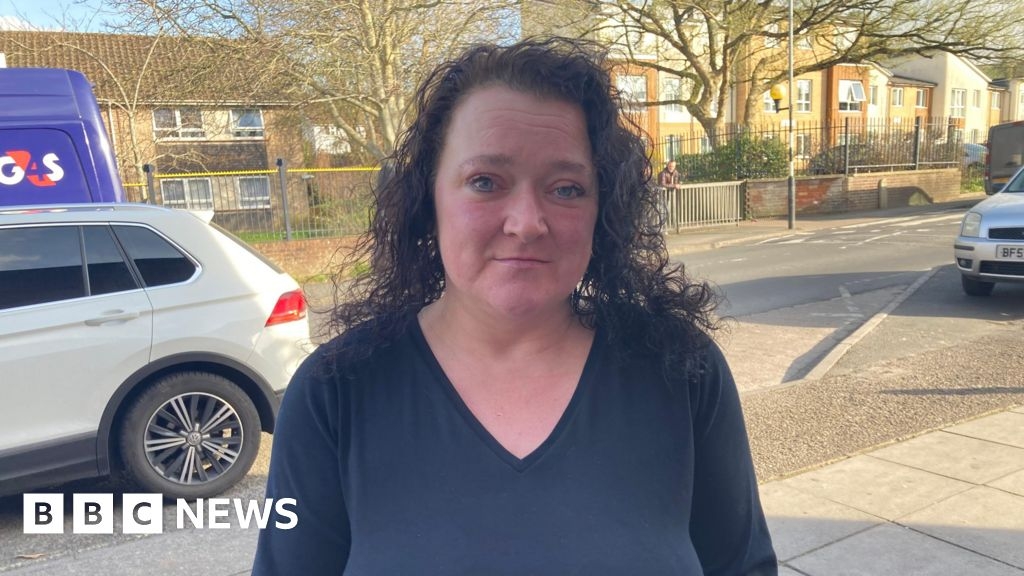 Dangerous dog attack owners defend their pets