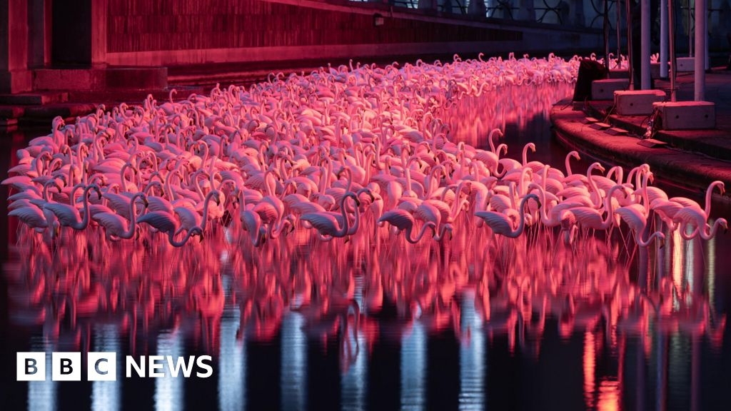 Headlines: Farmer protests and light festival crowds