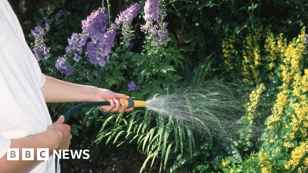 South East water firms say 'use water wisely' to avoid hosepipe ban