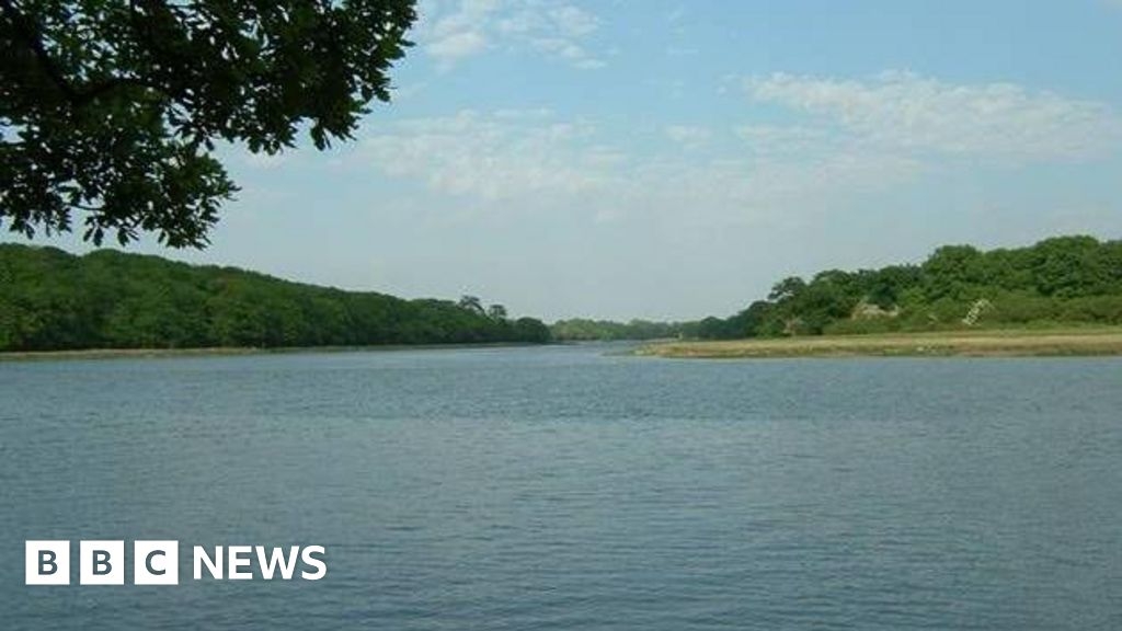 River Hamble visitors warned over toxic blue-green algae