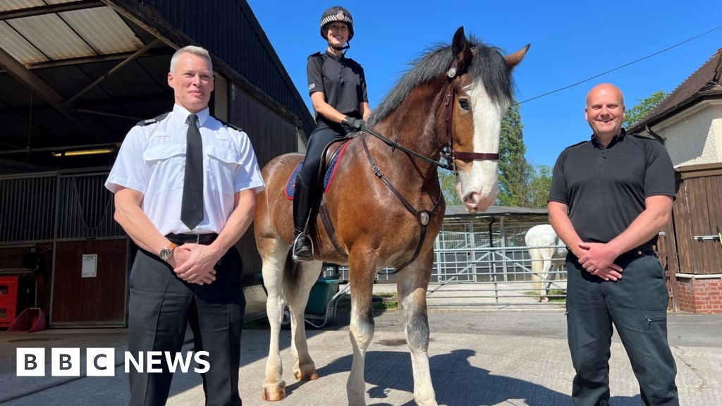 Lancashire Constabulary horse named in honour of police chief Peter Lawson