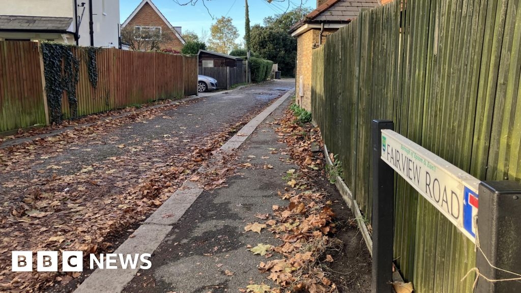 Epsom residents attempt to stop council accessing proposed homes