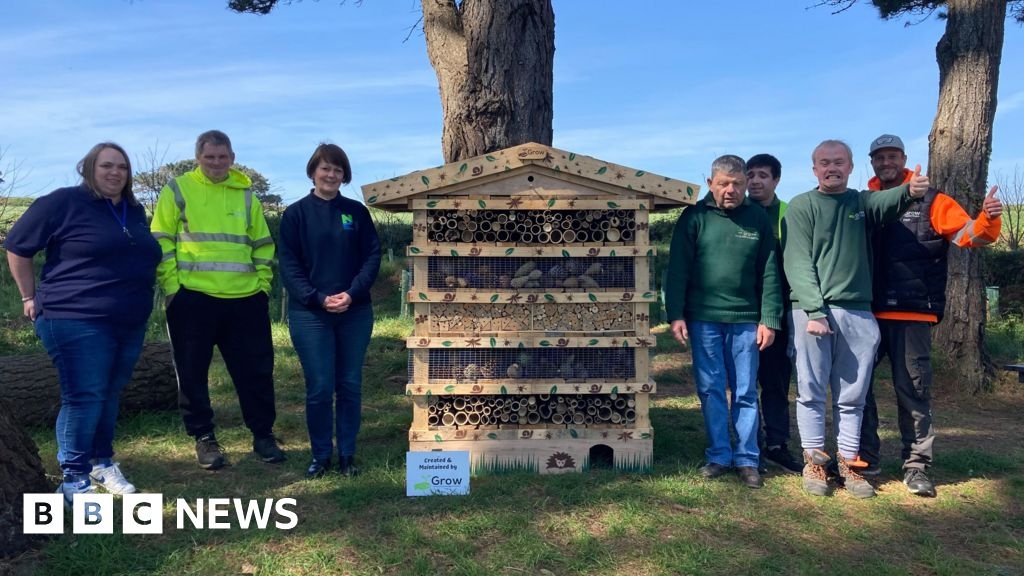 New 'bug hotel' unveiled along Guernsey nature trail