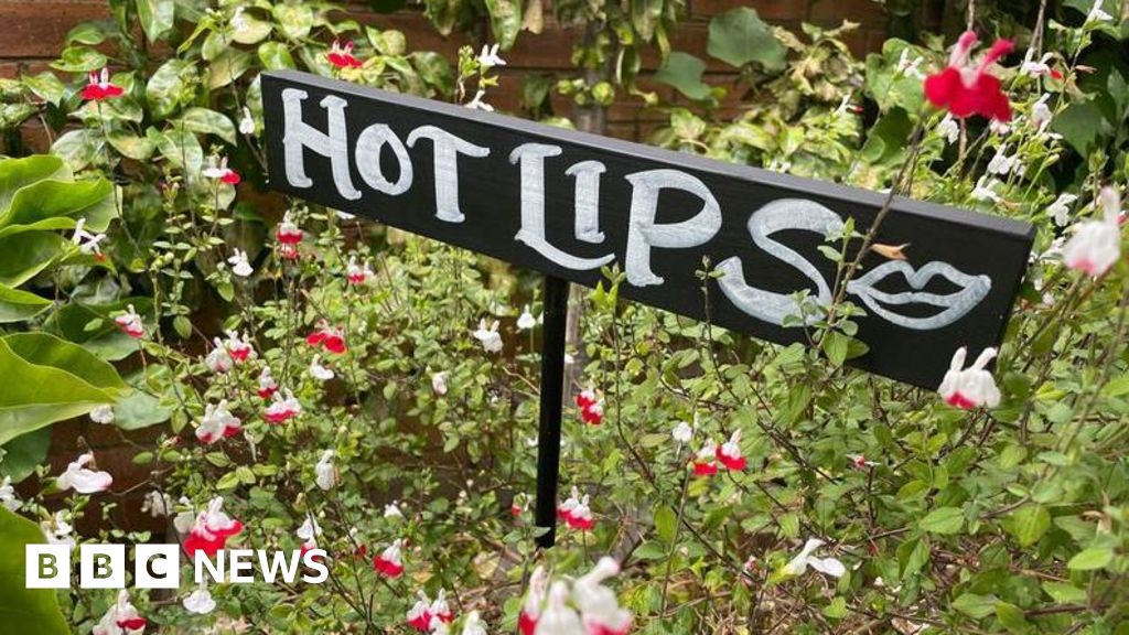 Five inner-city gardens in Toxteth show off their colours