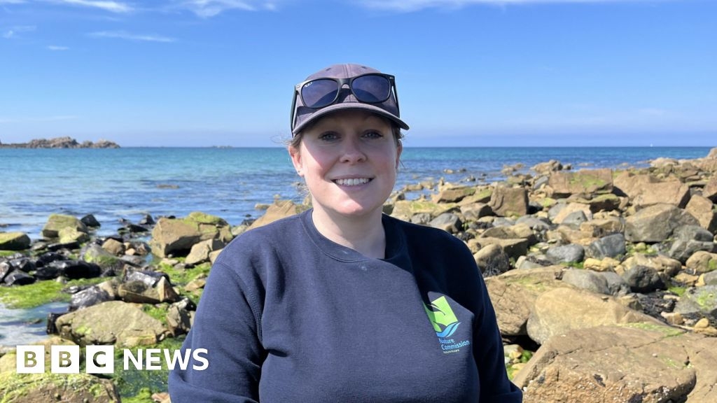 Ecologists and children take part in 'bioblitz' in Guernsey