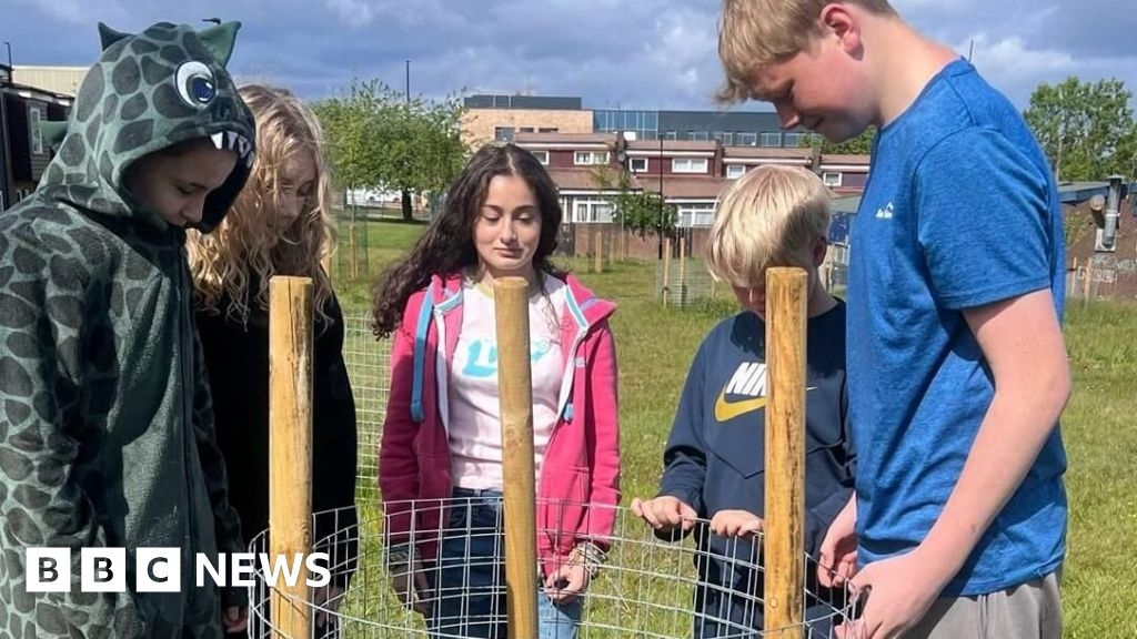 Newcastle youngsters 'heartbroken' by orchard theft