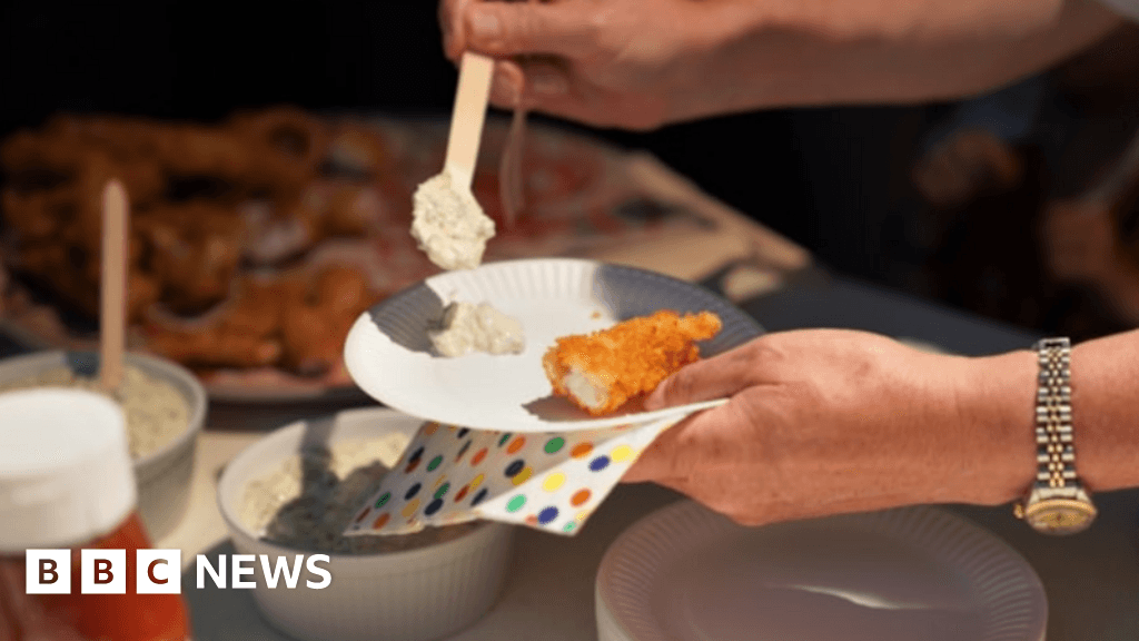 Plymouth Fish Finger made from bycatch to be served in schools