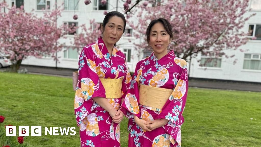Newtownabbey: Cherry blossoms celebrated by NI Japanese community