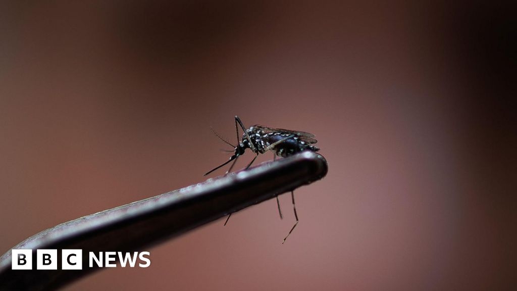 'Quick' results for West Nile virus mosquito tests