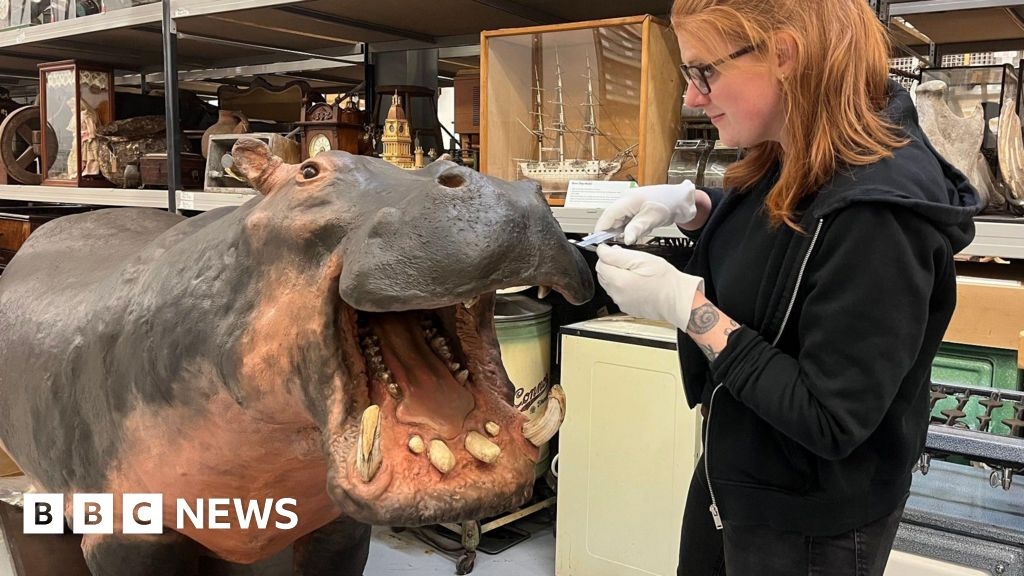 Leeds hippo helps experts reveal science behind whiskers