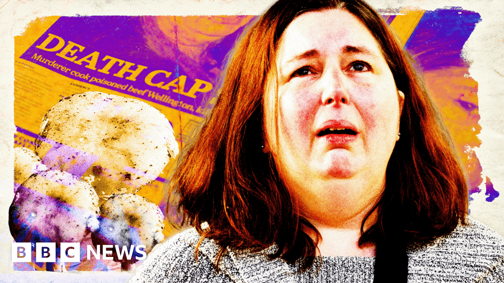Mushroom killer: How 'super sleuth' Erin Patterson became true crime obsession