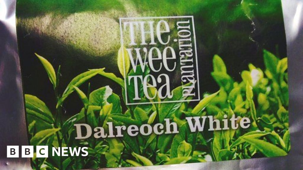 Fraudster made £550,000 selling fake 'Scottish-grown tea'