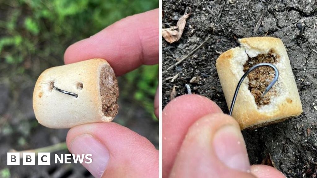 Dog treats with fishhooks found in Abergavenny park