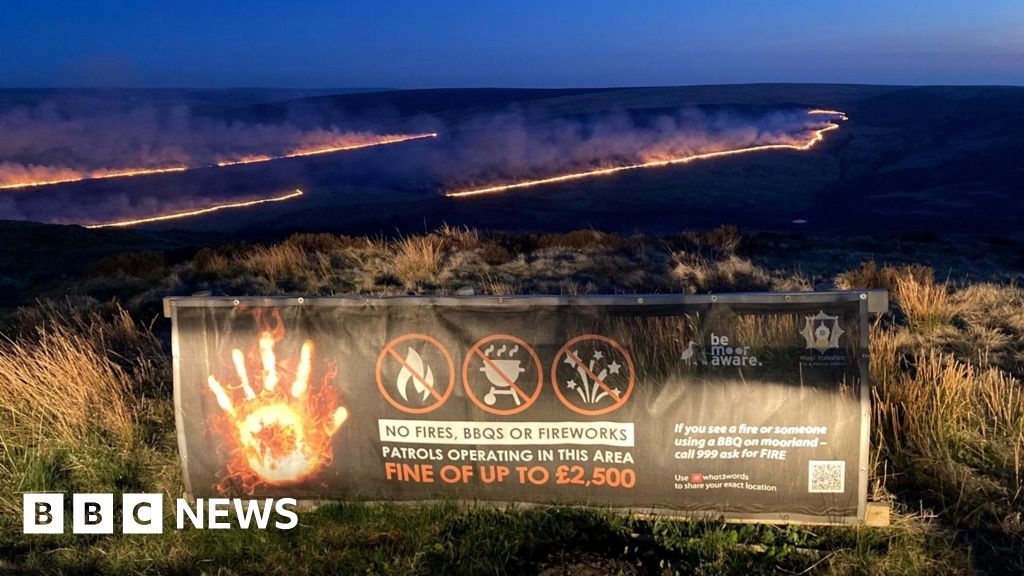 Marsden Moor wildfire damaged 14,000 new trees