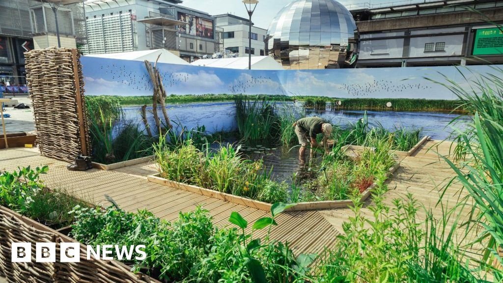 Festival of Nature in Bristol involves Millennium Square wetland