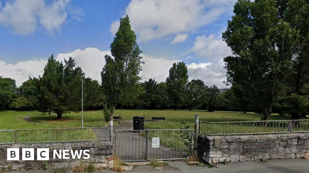 Police crack down anti-social behaviour in Plymouth park