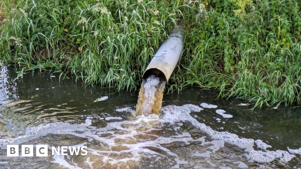 More than 100 chemicals polluting South harbours