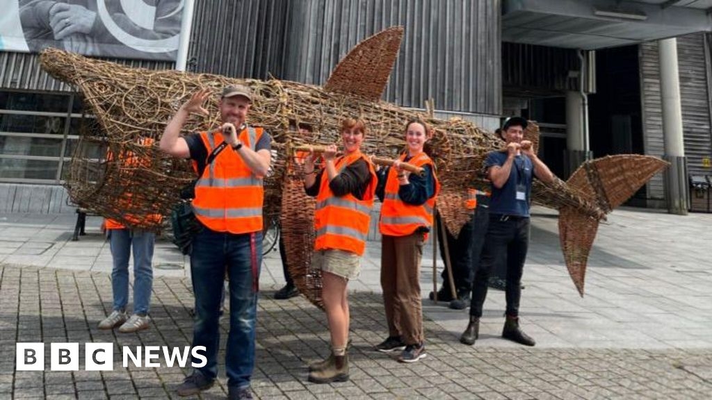 Falmouth Basket Shark aims to raise sea pollution awareness