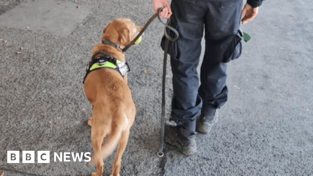 Drugs seized in sniffer dog swoop at Torquay railway station