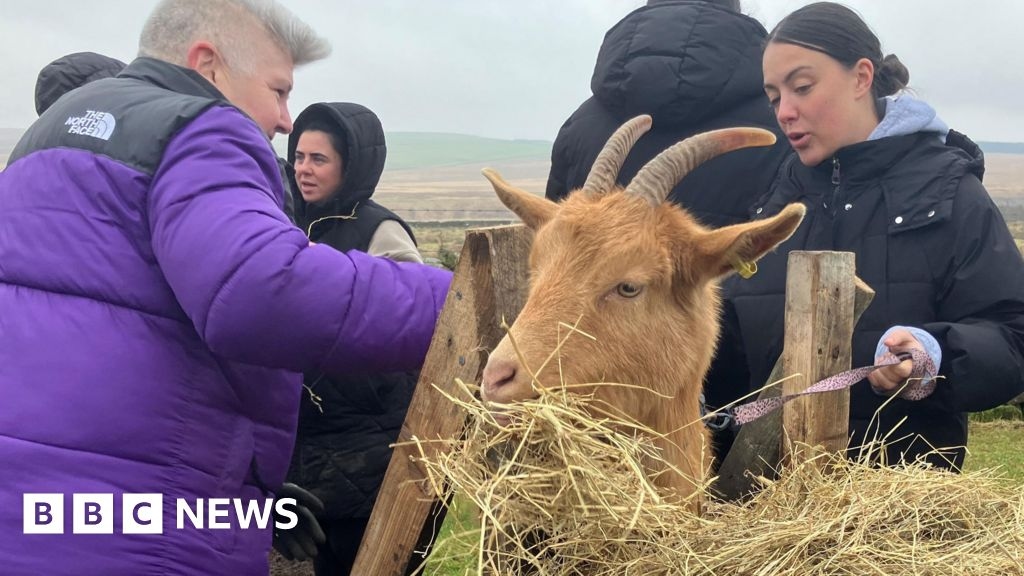 Newcastle women's charity's lockdown farm success in Northumberland