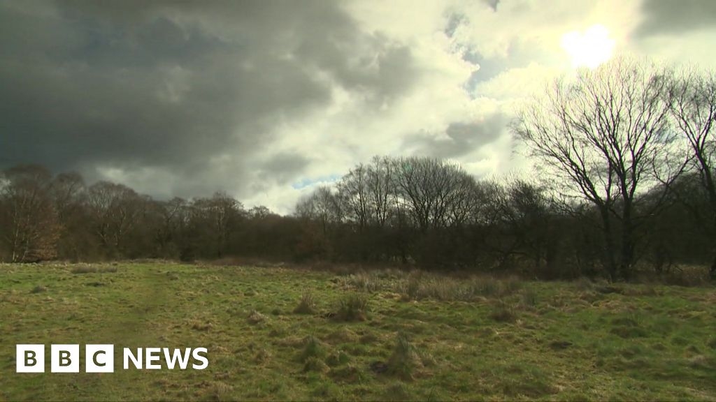 Danes Moss: Housing plan for peatland site to be withdrawn