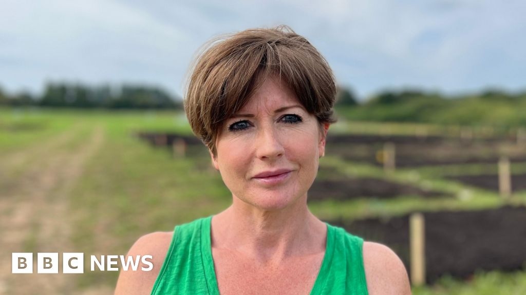 Concern after 50 allotments built on South Downs National Park