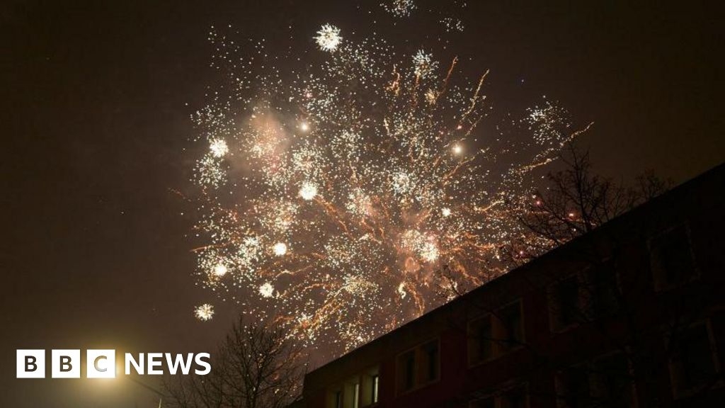 Dutch vote to ban New Year's fireworks, but not just yet