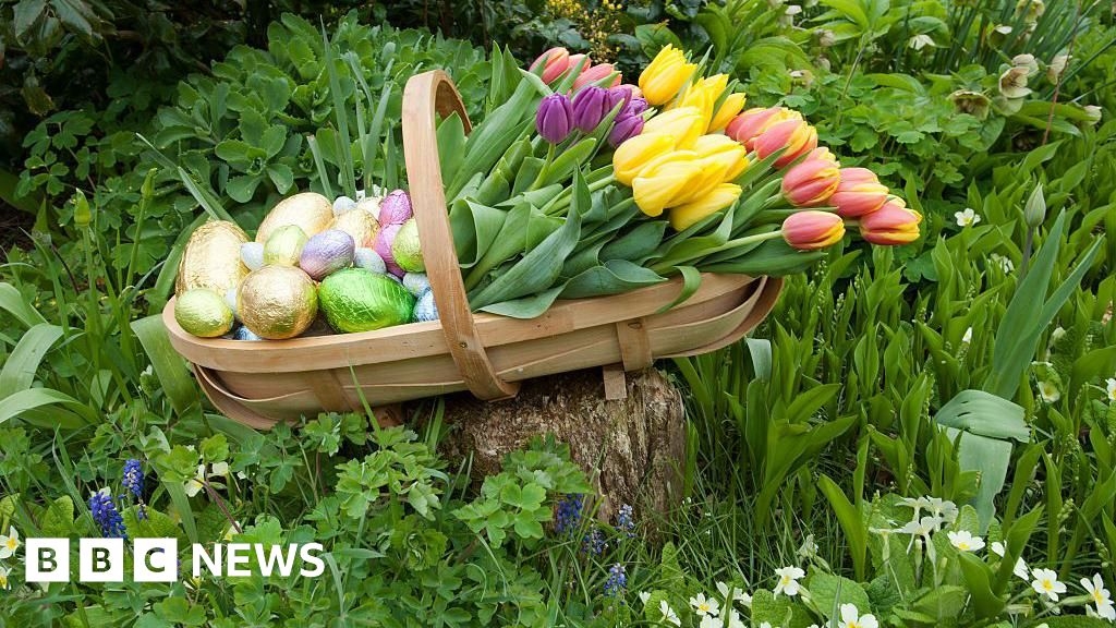 Campaign to save 'critically-endangered' Sussex trug industry