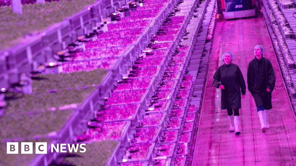 Firm behind UK's biggest vertical farm goes bust