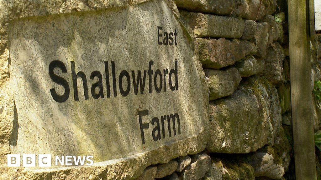 Lottery grant of £227k for rare Dartmoor habitat