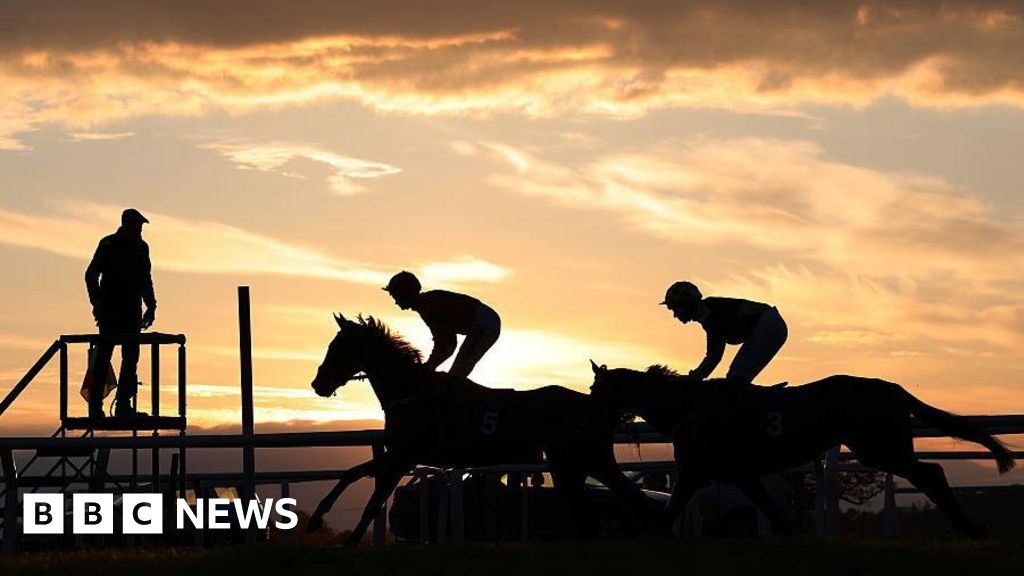 Somerset in Pictures: Swans, horse racing and Team Bath