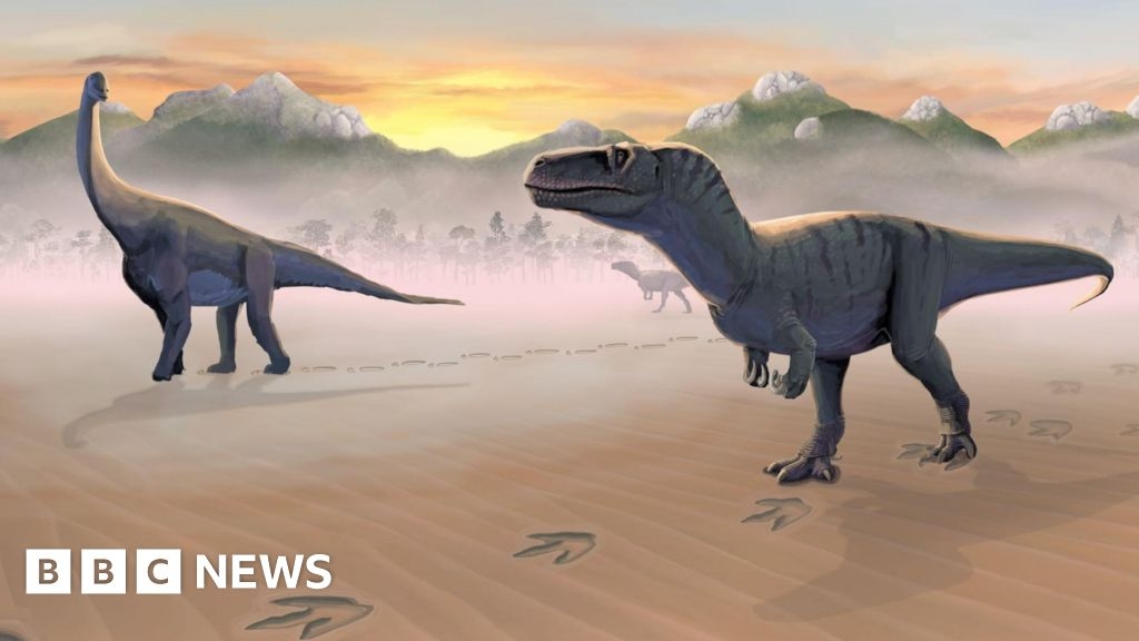 Skye footprints clue to dinosaurs' drinking habits