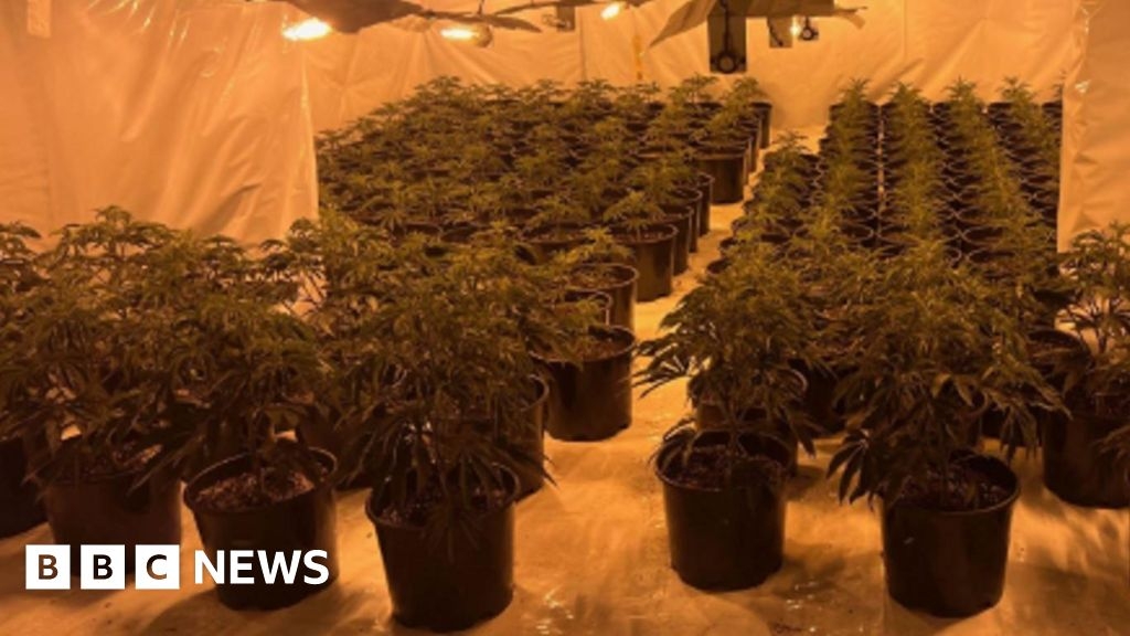 Cosford cannabis farm worth £1m found in derelict building