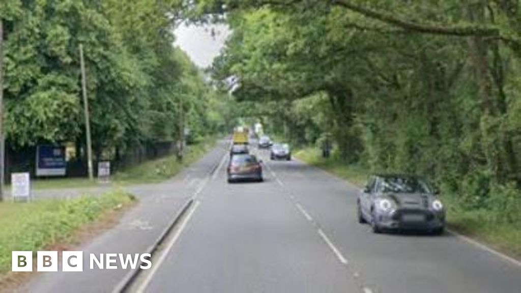 Driver dies after crash near Romany Business Park in Wareham