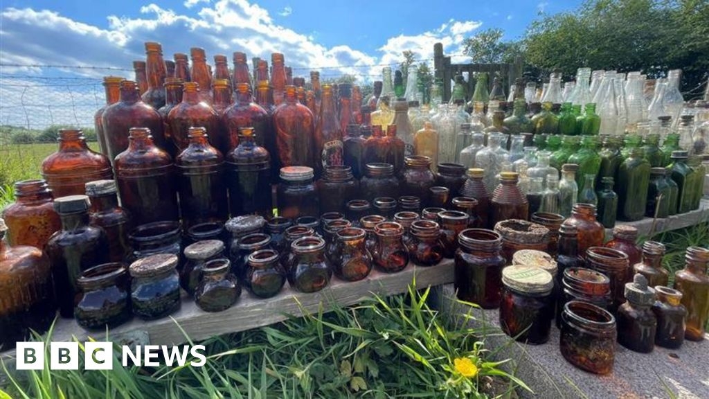 Pontypool: Vegetable plot dig unearths crop of vintage bottles