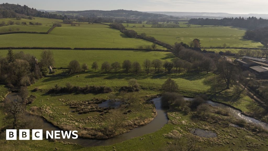 'Living library' created in Devon to save rare native tree
