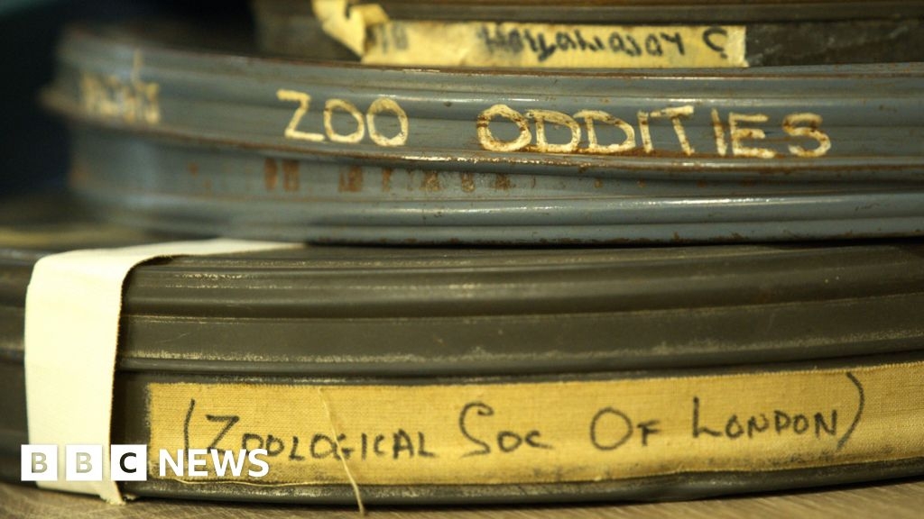 H﻿elp us identify old film reels, London Zoo urges
