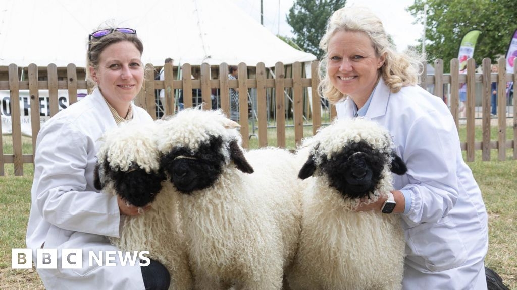 Somerset in Pictures: Bath and West show and dinosaurs