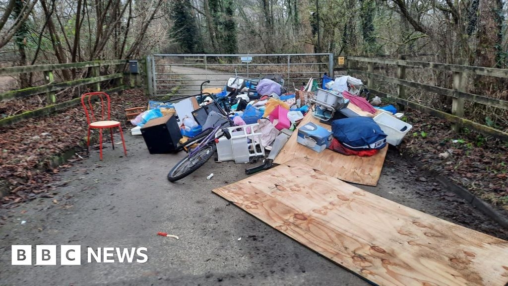 Waste fly-tipped outside New Forest nature reserve