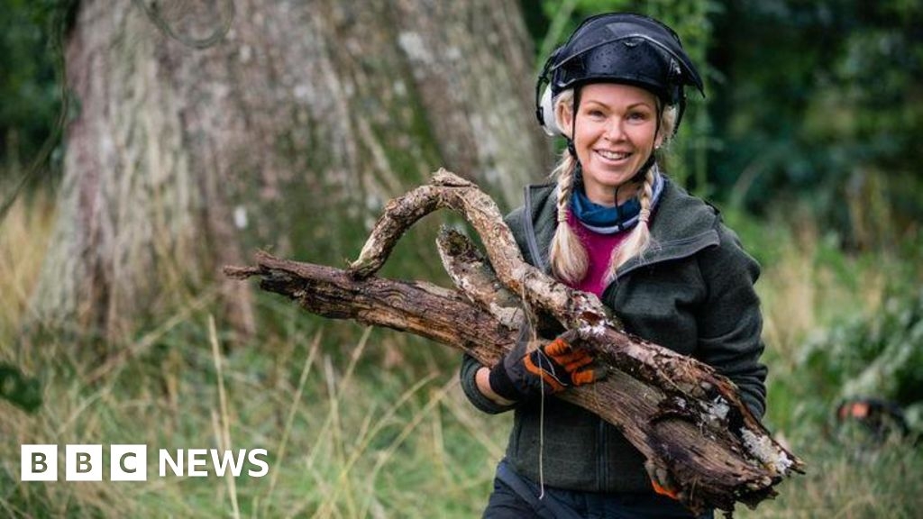More than 1,000 trees with ash dieback felled in Herefordshire