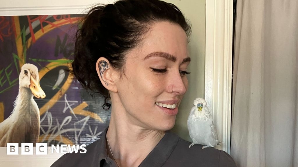 Hundreds of budgies helped in Rugby charity's first year