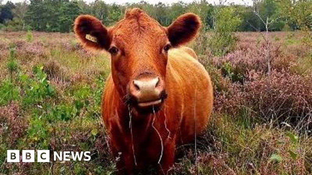 New walks created at Guildford's Tyting Farm nature reserve