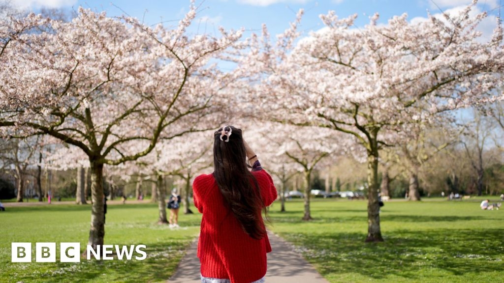 Spring 2025 warmest and driest in UK for 50 years, Met Office says