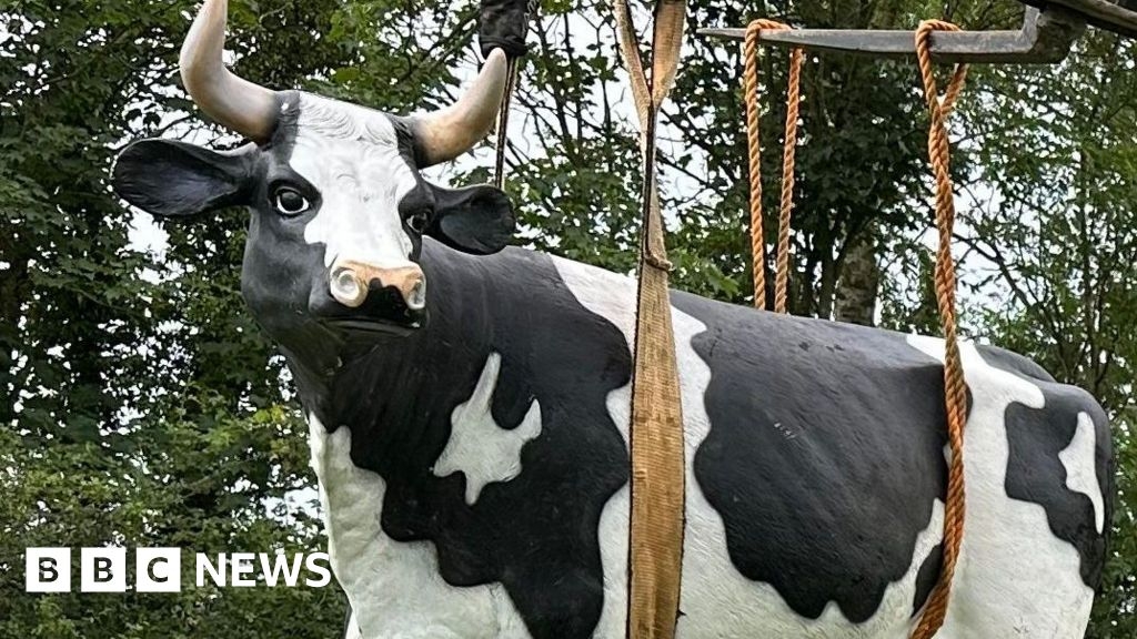 Yorkshire Farmer asks for return of stolen plastic life-sized cow