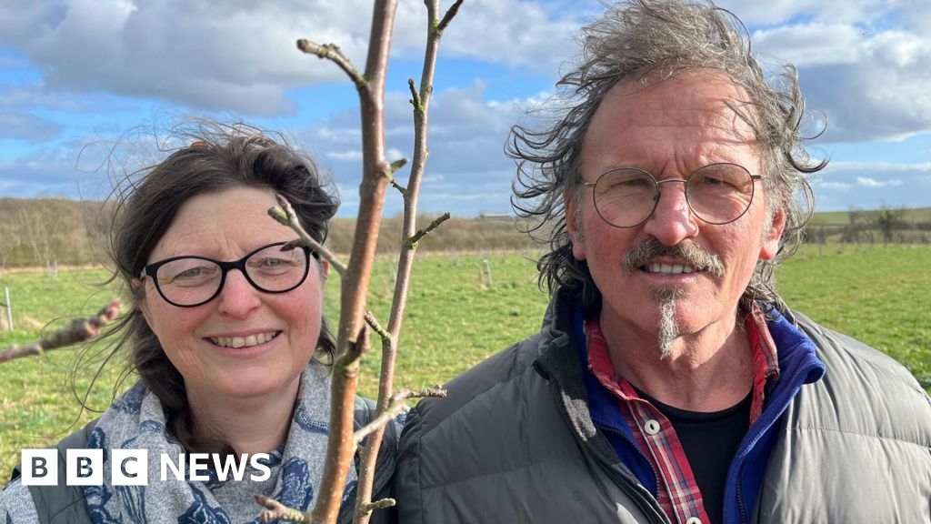 The Nottinghamshire farmers who swapped their dairy cows for trees