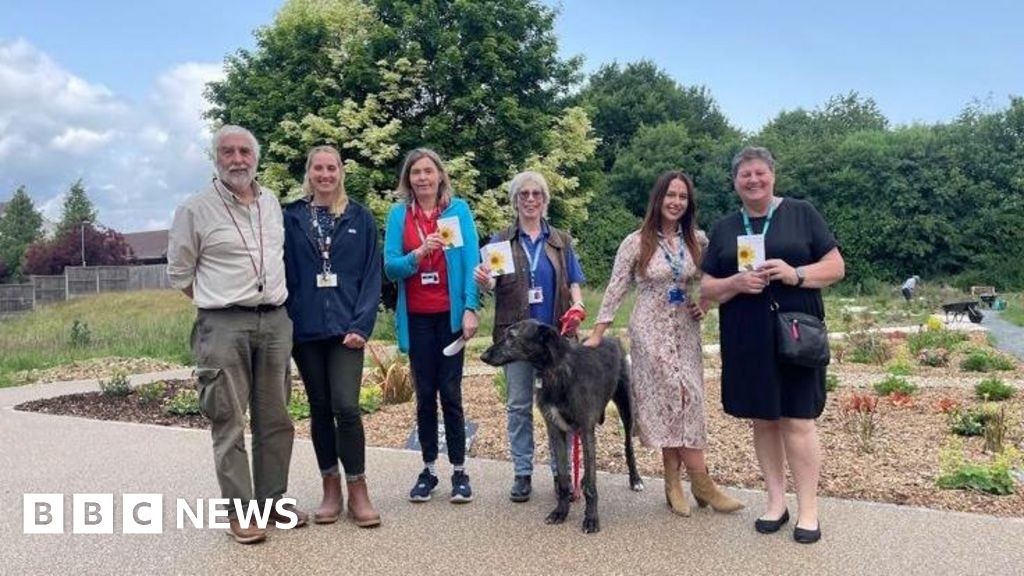 Volunteers create mental health wellbeing garden in Maidstone