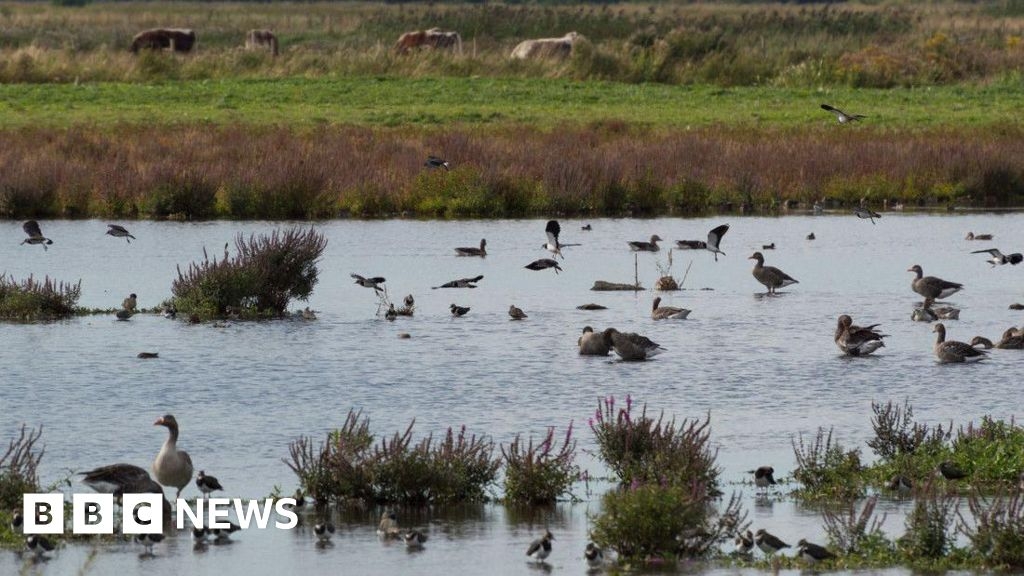 WWT Martin Mere Burscough site to be restored thanks to cash boost