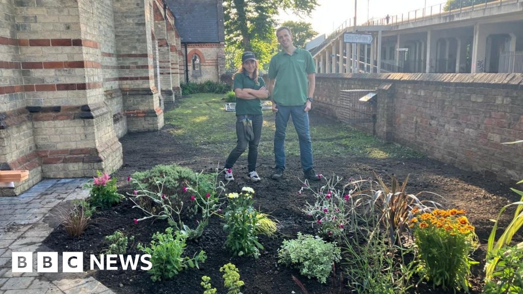 Plants stolen from Hull Giroscope charity day before hub opens