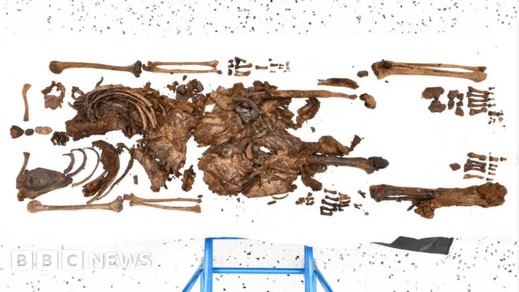 Iron Age: Ancient remains of woman may have been sacrificial