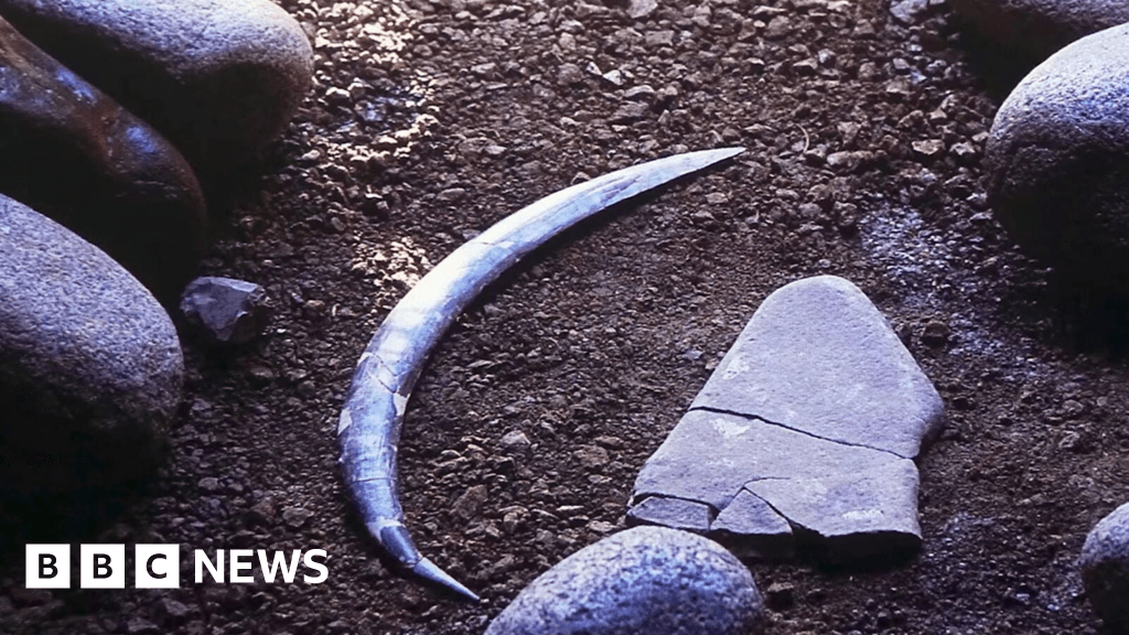 World's oldest boomerang older than thought, but not Australian